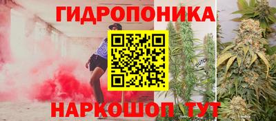 PSILOCYBIN Конаково