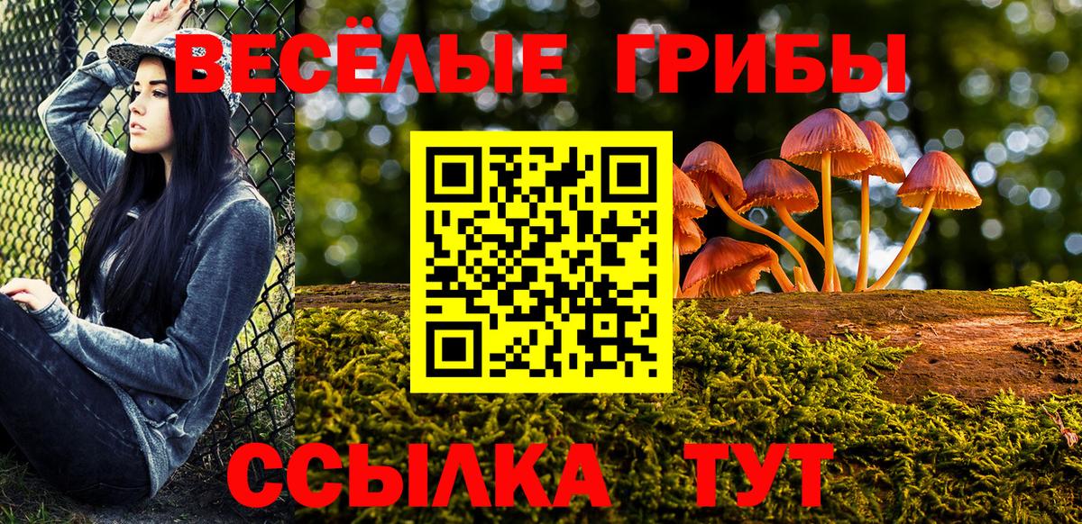 Псилоцибиновые грибы прущие грибы Валуйки